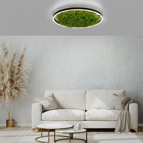 Dimmbare LED Deckenlampe Moos Schwarz 3000 K 28 W