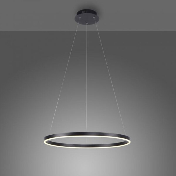 Dimmbare LED Pendelleuchte Schwarz Ø58,5 cm 3000 K 28 W