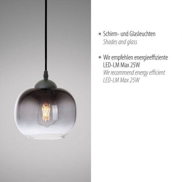 Hängelampe Glasschirm Rauchgrau Schwarz E27 Ø19 cm rund