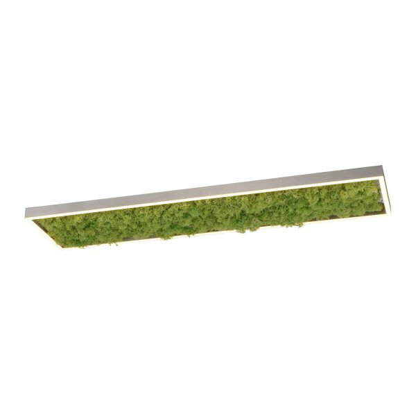 LED Deckenleuchte Moos L:100 cm 3000 K 3550 lm aus Moos
