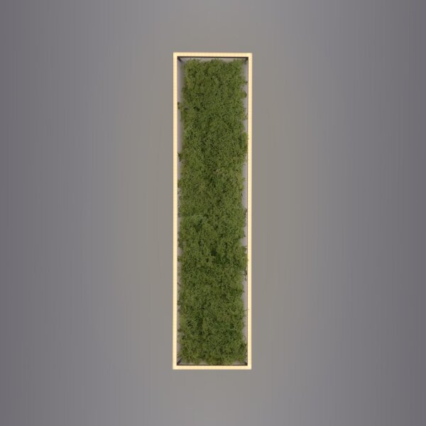LED Deckenleuchte Moos L:100 cm 3000 K 3550 lm aus Moos