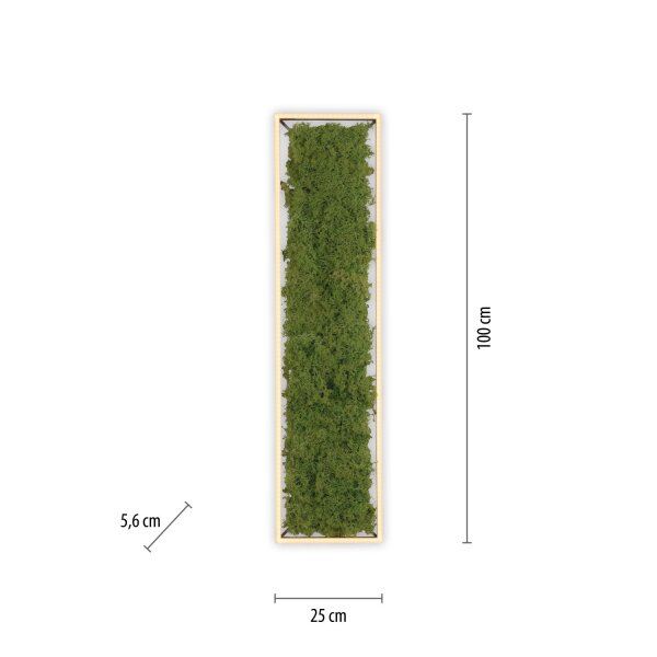 LED Deckenleuchte Moos L:100 cm 3000 K 3550 lm aus Moos