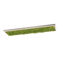 LED Deckenleuchte Moos L:100 cm 3000 K 3550 lm aus Moos