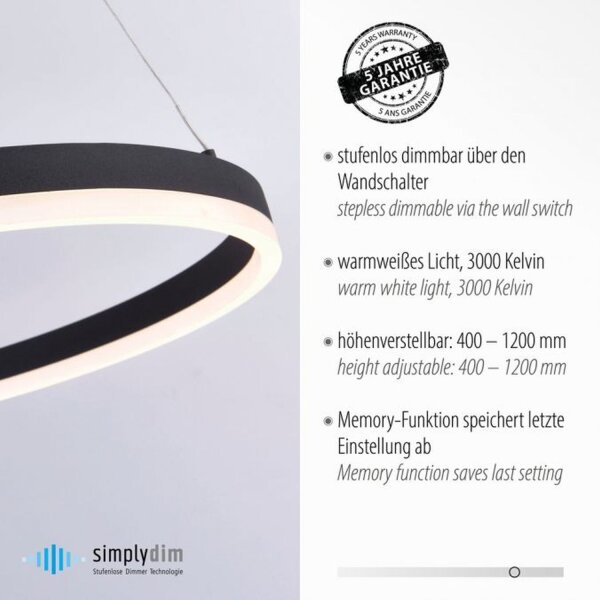 LED Pendelleuchte Anthrazit dimmbar 3000 K Ø80 cm Ring