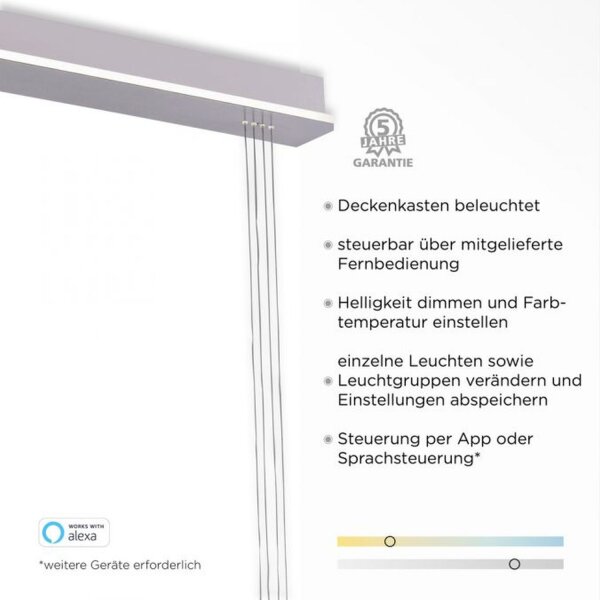 LED Hängelampe Glas in Stahl 2-flammig Fernbedienung