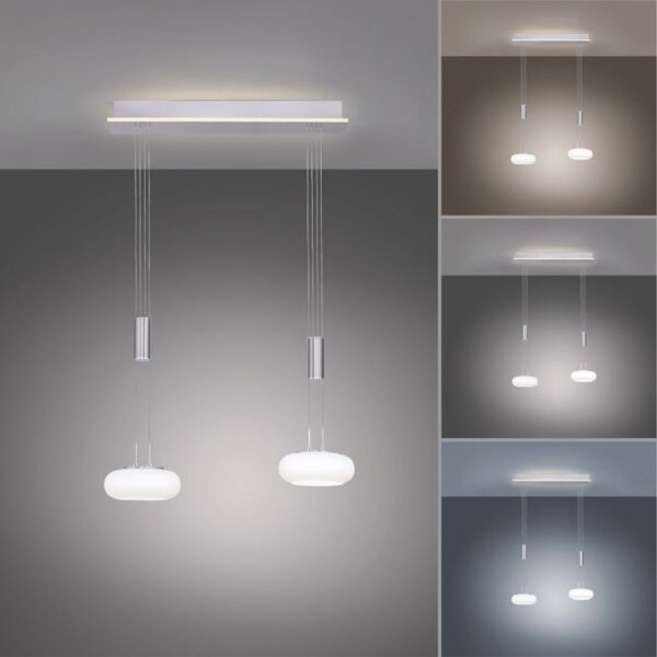 LED Hängelampe Glas in Stahl 2-flammig Fernbedienung