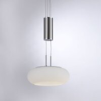 LED Hängelampe Glas in Stahl 2-flammig Fernbedienung