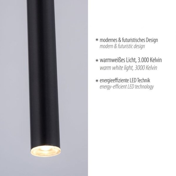 LED Pendelleuchte Schwarz Metall Ø2,5 cm rund dimmbar