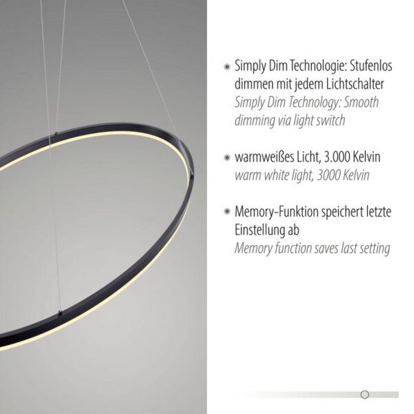 LED Pendelleuchte Anthrazit oval 3000 K 118 cm dimmbar