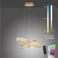 Dimmbare LED Pendelleuchte Ø59 cm rund 56 W in...