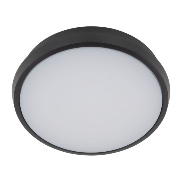Runde LED Außenwandleuchte IP54 Aluminium Schwarz 18 W