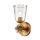 Wandleuchte Metall Glas H: 36,8 cm in Gold Antik E27