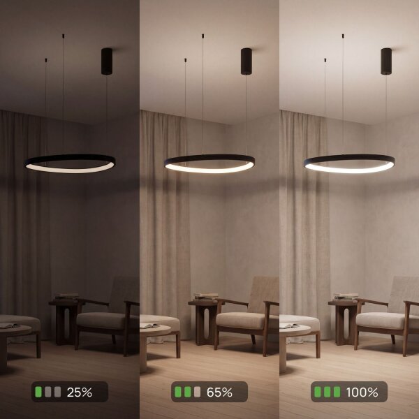 LED Pendelleuchte Alu Schwarz L:65 cm 3000/4000/6500 K