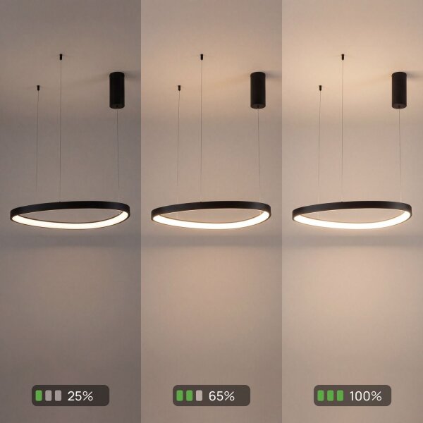 LED Pendelleuchte Alu Schwarz L:65 cm 3000/4000/6500 K