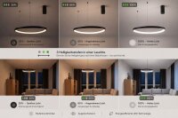 LED Pendelleuchte Alu Schwarz L:65 cm 3000/4000/6500 K