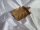 Dekoschale Teak Holz 32 cm lang Blatt Design Unikat Handarbeit