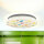 LED Deckenlampe IP44 Weiß Bunt Ø 33,5 cm 4000 K Dinosaurier