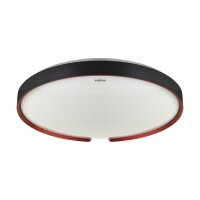 Smart Home Deckenlampe IP44 Dimmbar 3 Lichtmodi Ø...
