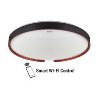 Smart Home Deckenlampe IP44 Dimmbar 3 Lichtmodi Ø...