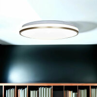 LED Deckenleuchte rund Ø 38cm 4000 K 1460 lm in...