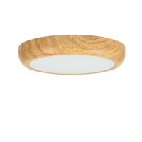 LED Deckenleuchte rund Ø 17 cm klein 2 Lichtmodi...