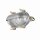 Außenlampe Wand Messing massiv Glas E27 IP64 B: 21 cm
