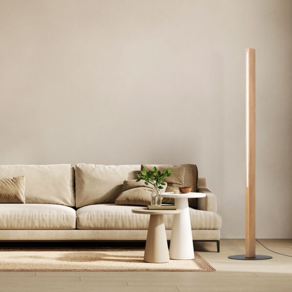 LED Stehleuchte Holz Schwarz 120 cm 3000 K Kiefer