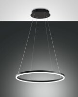 LED Pendelleuchte IP40 3000K Metall Schwarz &Oslash;60 cm...
