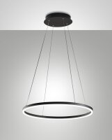 LED H&auml;ngelampe IP40 3000K Metall Schwarz &Oslash;60...