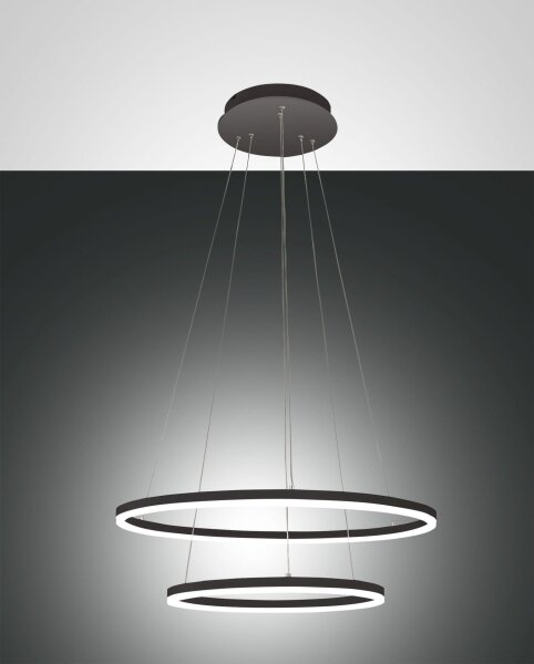 LED Pendelleuchte IP40 3000K Metall Ø60 cm Schwarz rund