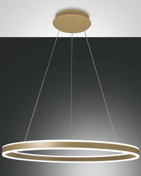 LED Pendelleuchte Gold 3000K dimmbar Ø80 cm rund