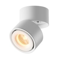LED Deckenspot schwenkbar Metall Wei&szlig; L:10 cm 3000 K