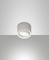 LED Deckenleuchte Aluminium 3000K Weiß schwenkbar