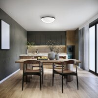 LED Deckenleuchte Schwarz 2700/3000/4000K B:60 cm