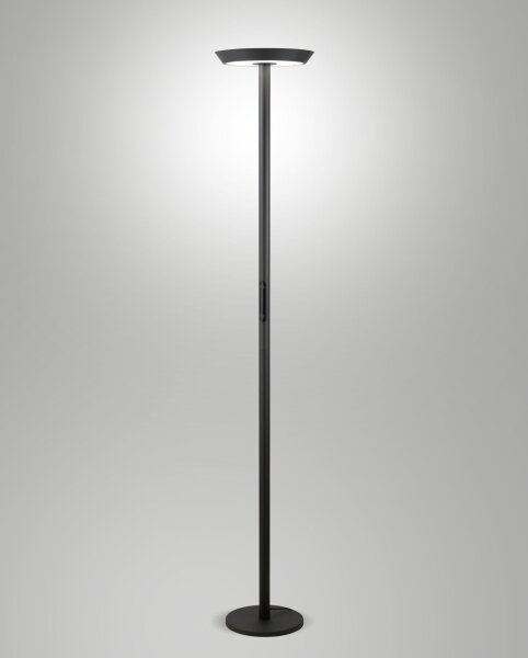 LED Stehleuchte Anthrazit 2700/3000/4000K H:178,5 cm