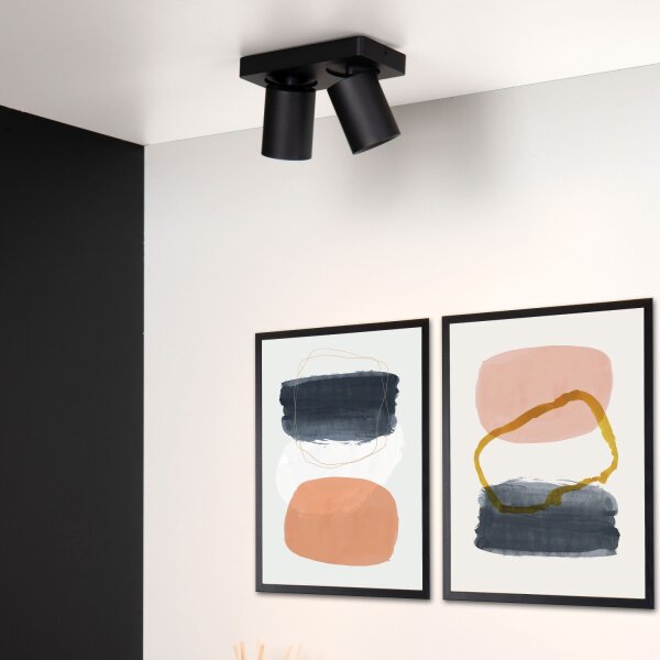 Deckenspot flexibel Aluminium Schwarz 2200 K edel