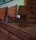 Tischlampe Rattan Natur IP54 E27 H:38 cm wetterfest