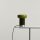 AX8002B5_S - Tischlampe ERAN