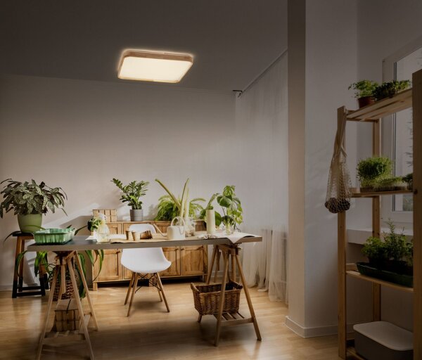 LED Deckenleuchte Click-DIM Holz 3000 K B:49,5cm OSRAM