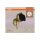 Wandlampe Glas G9 Gold Schwarz H:24,5 cm blendarm OSRAM