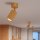 Deckenstrahler verstellbar Aluminium Gold GU10 Ø6,5 cm