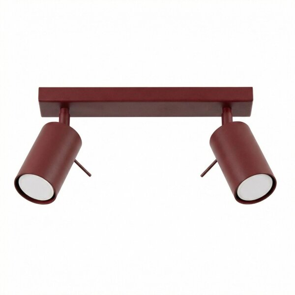 Deckenspot flexibel Stahl 2-flammig GU10 L:30 cm