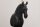 Tischlampe Schwarz Gold 75 cm hoch Pferd E27 Stoffschirm