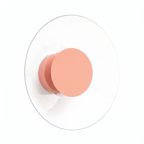 LED Wandleuchte Pfirsich Stahl Plexiglas 3000K B:28 cm