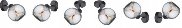 Wandspot schwenkbar Rauchglas Schwarz E27 T:20 cm Leuchte