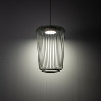 Pendelleuchte Downlight Salbei GX53 Ø20 cm Modern...