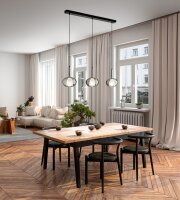 H&auml;ngelampe Rauchglas E27 Schwarz L:87 cm dekorativ