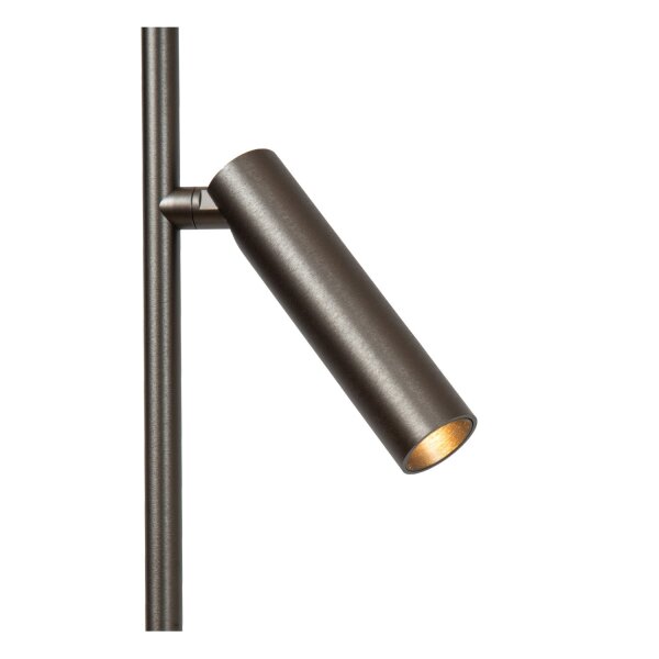 LED Stehlampe schwenkbar Grauguss CCT 2700-4000K 180 cm