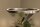 LC23700/20/15 - Stehlampe OLYRA
