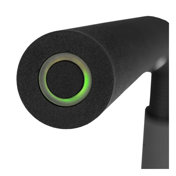 LED Stehlampe Akku flexibel kabellos Schwarz 2700K